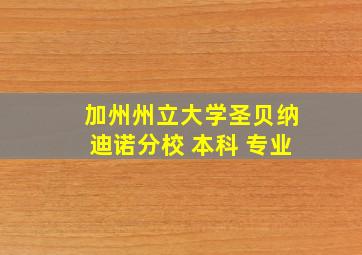 加州州立大学圣贝纳迪诺分校 本科 专业